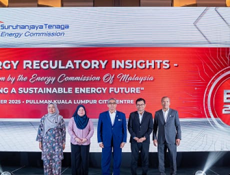 Energy Regulatory Insight (ERI)