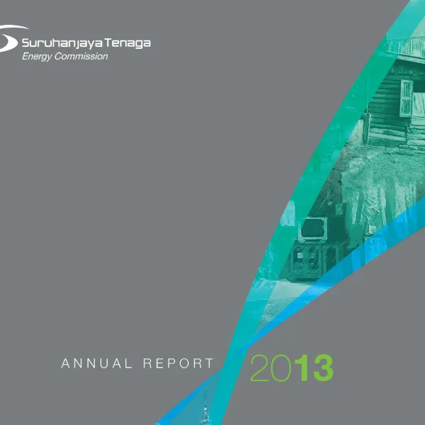 Annual Report 2013