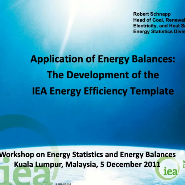 Application of Energy Balances: The Development of the IEA Energy Efficiency Template