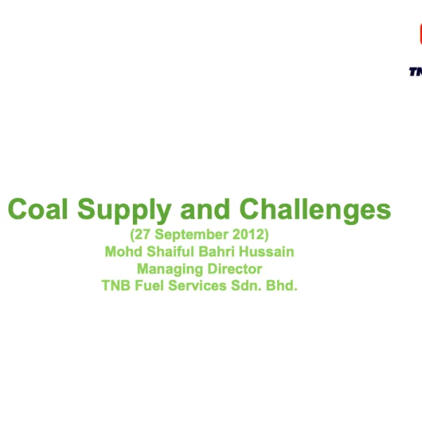 Ensuring Energy Sustainability: Coal Supply and Challenges