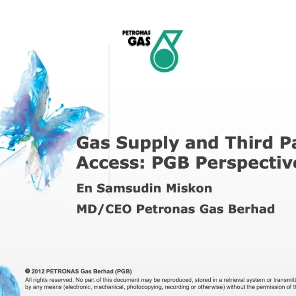 Ensuring Energy Sustainability: Gas Supply and Third Party Access (TPA)