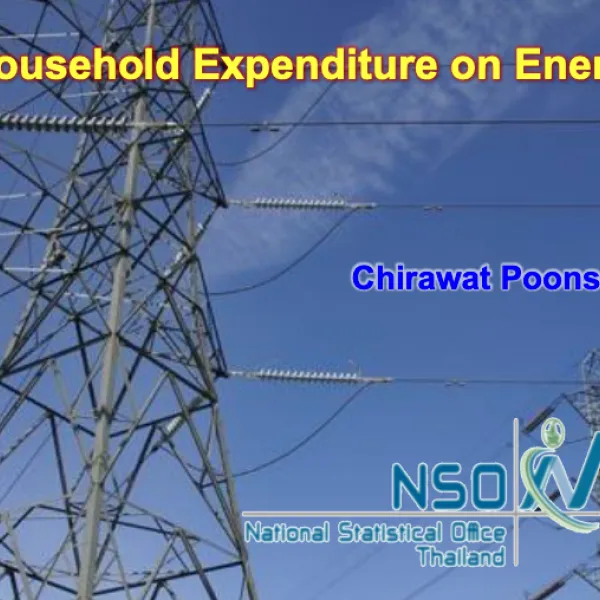 Household Expenditure on Energy
