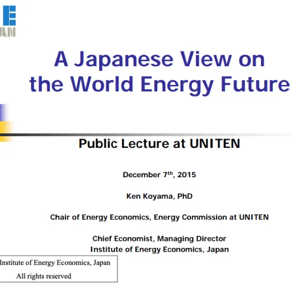 Japanese view on world energy future