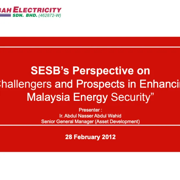 SESB: SESB's Perspectives