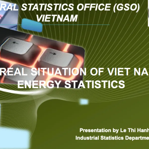 The Real Situation of Vietnam's Energy Statistics