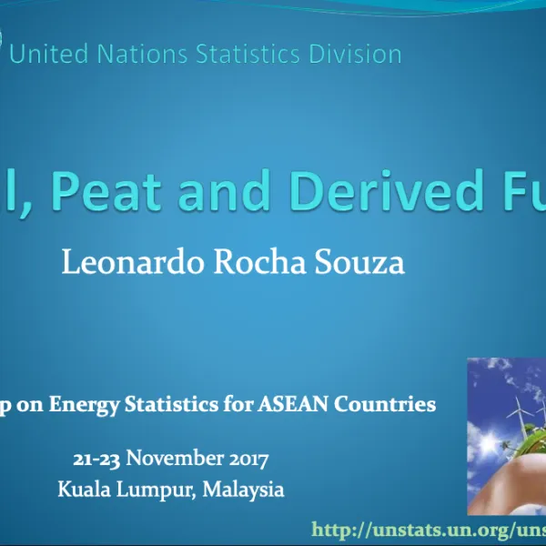 UNSD-Coal, Peat and Derival Fuels