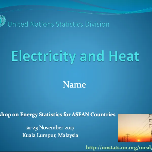 UNSD-Electricity and Heat-2
