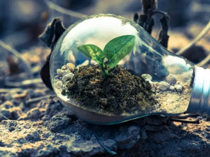 Energy Efficiency